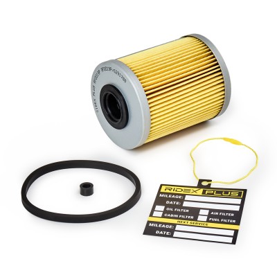 Kraftstofffilter RIDEX 9F0019P 9F0019P - foto 2