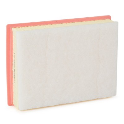 Luftfilter RIDEX 8A1642 8A1642 - foto 3