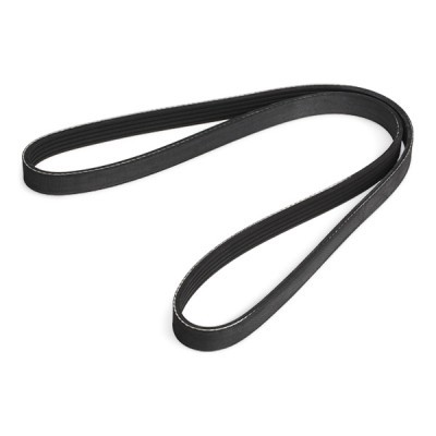 Keilrippenriemen RIDEX 305P0034 305P0034 - foto 5