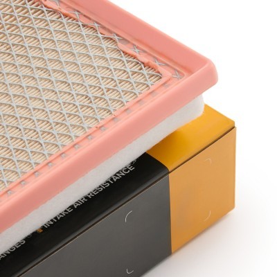 Luftfilter RIDEX 8A1660 8A1660 - foto 5