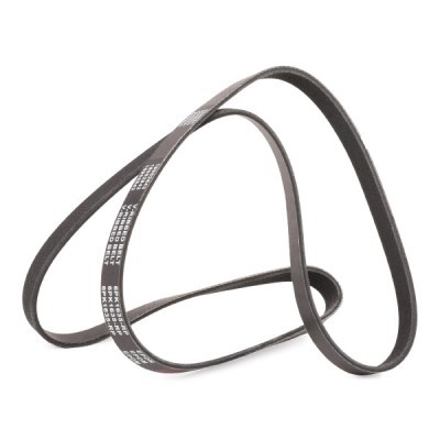 Keilrippenriemen RIDEX 305P0370P 305P0370P - foto 4