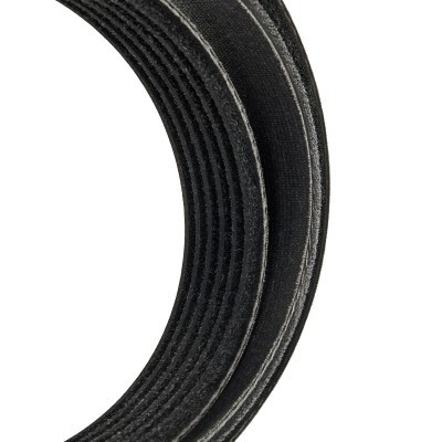 Keilrippenriemen RIDEX 305P0206P 305P0206P - foto 4
