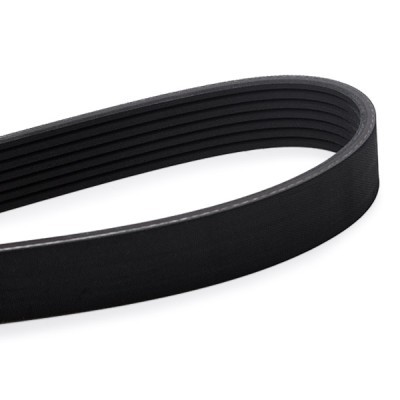 Keilrippenriemen RIDEX 305P0469 305P0469 - foto 4