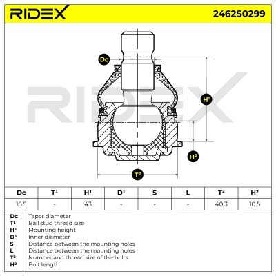 Traggelenk RIDEX 2462S0299 2462S0299 - foto 6