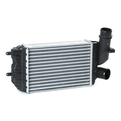 Ladeluftkühler RIDEX 468I0163 468I0163 - foto 4