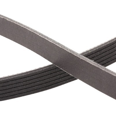 Keilrippenriemen RIDEX 305P0350P 305P0350P - foto 5