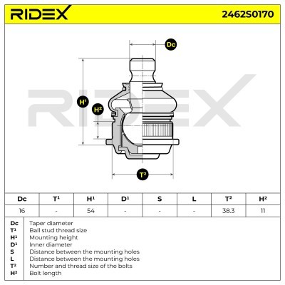 Traggelenk RIDEX 2462S0170 2462S0170 - foto 7