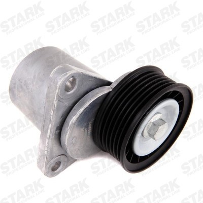 Spannarm Keilrippenriemen Stark SKTP-0600012 SKTP-0600012 - foto 3