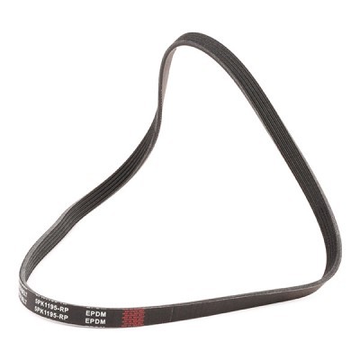 Keilrippenriemen RIDEX 305P0550P 305P0550P - foto 3