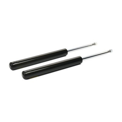 Stoßdämpfer RIDEX 854S1557P 854S1557P - foto 4