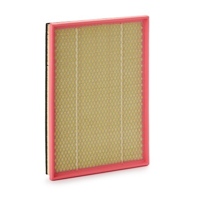 Luftfilter RIDEX 8A1099 8A1099 - foto 2