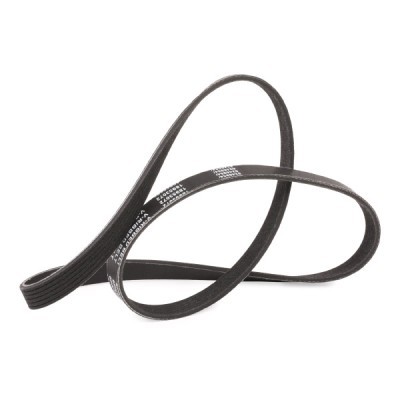 Keilrippenriemen RIDEX 305P0289P 305P0289P - foto 3