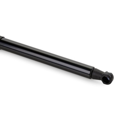 Gasfeder, Koffer-/Laderaum RIDEX 219G0468 219G0468 - foto 12