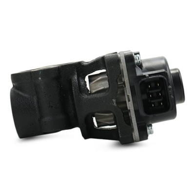 AGR-Ventil RIDEX 1145E0133 1145E0133 - foto 5