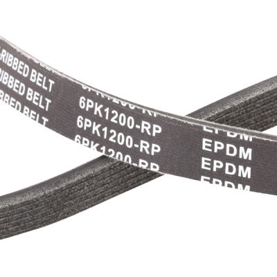Keilrippenriemen RIDEX 305P0064P 305P0064P - foto 5