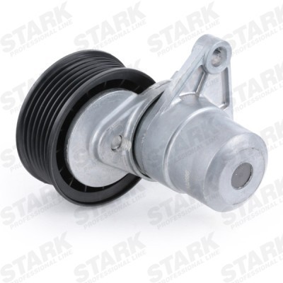 Spannarm Keilrippenriemen Stark SKTP-0600012 SKTP-0600012 - foto 6