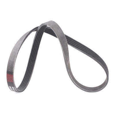 Keilrippenriemen RIDEX 305P0148P 305P0148P - foto 3
