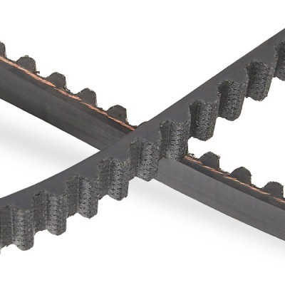 Zahnriemen RIDEX 306T0055P 306T0055P - foto 5