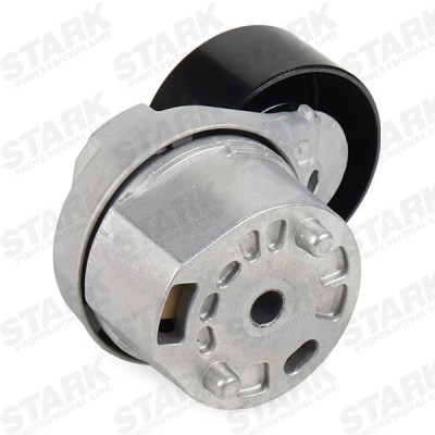 Spannarm Keilrippenriemen Stark SKTP-0600368 SKTP-0600368 - foto 5