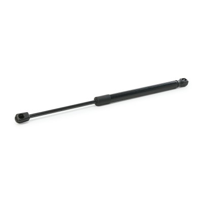 Gasfeder, Koffer-/Laderaum RIDEX 219G0052 219G0052 - foto 9