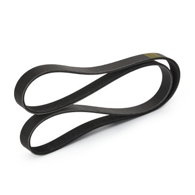 Keilrippenriemen RIDEX 305P0182P 305P0182P - foto 4