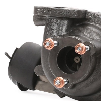 Turbolader RIDEX 2234C0012R 2234C0012R - foto 7