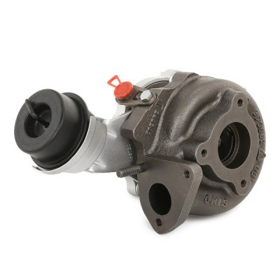 Turbolader RIDEX 2234C0313R 2234C0313R - foto 4