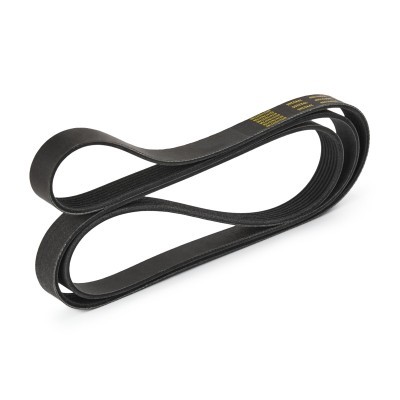 Keilrippenriemen RIDEX 305P0108P 305P0108P - foto 4