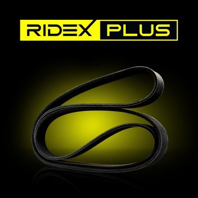 Keilrippenriemen RIDEX 305P0012P 305P0012P - foto 11