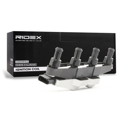 Zündspule RIDEX 689C0247 689C0247 - foto 3