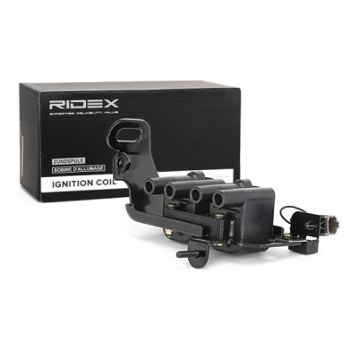 Zündspule RIDEX 689C0191 689C0191 - foto 3