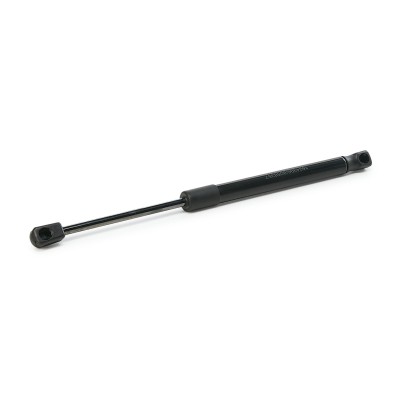 Gasfeder, Koffer-/Laderaum RIDEX 219G0003 219G0003 - foto 9