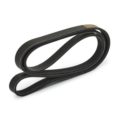 Keilrippenriemen RIDEX 305P0575P 305P0575P - foto 3