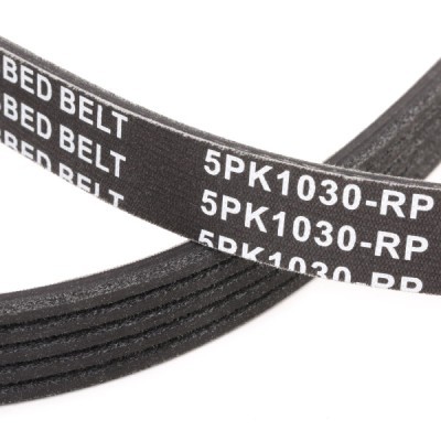 Keilrippenriemen RIDEX 305P0032P 305P0032P - foto 5