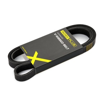 Keilrippenriemen RIDEX 305P0169P 305P0169P - foto 2