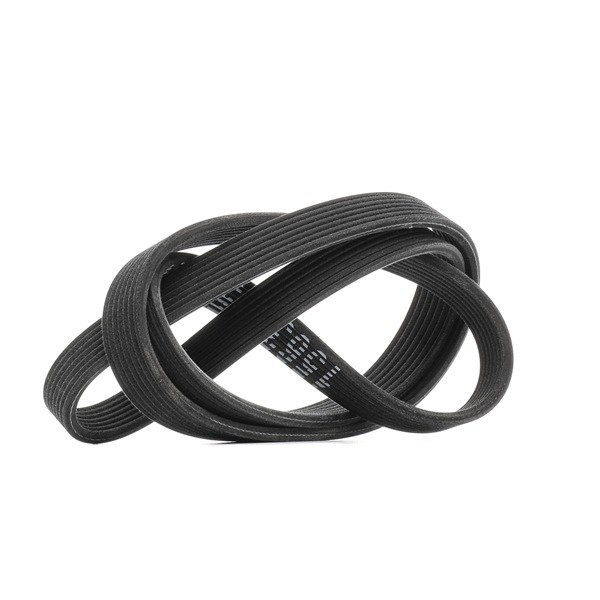 Keilrippenriemen RIDEX 305P0486 305P0486 - foto 1