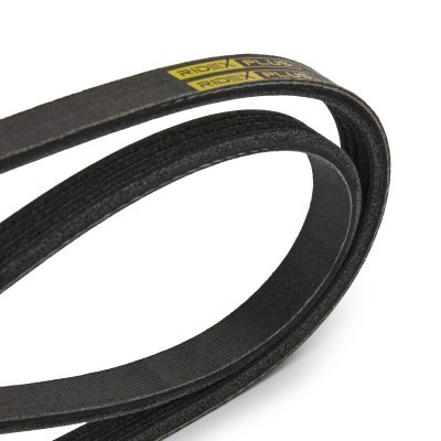 Keilrippenriemen RIDEX 305P0202P 305P0202P - foto 4