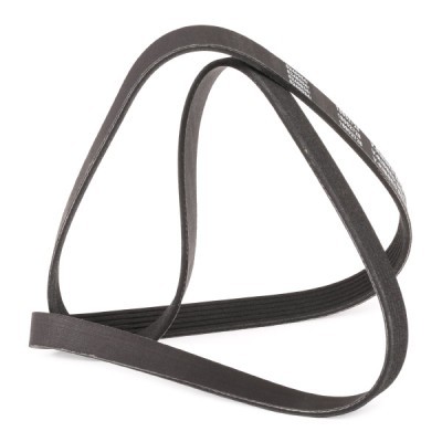 Keilrippenriemen RIDEX 305P0175P 305P0175P - foto 3