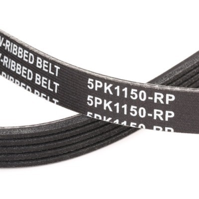 Keilrippenriemen RIDEX 305P0152P 305P0152P - foto 5
