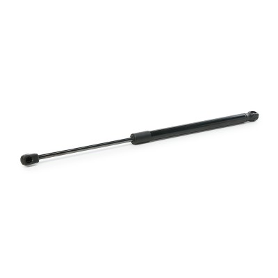 Gasfeder, Koffer-/Laderaum RIDEX 219G0313 219G0313 - foto 9