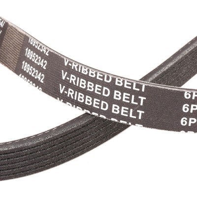 Keilrippenriemen RIDEX 305P0165P 305P0165P - foto 5