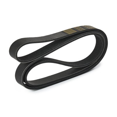 Keilrippenriemen RIDEX 305P0418P 305P0418P - foto 4
