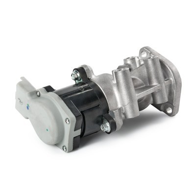 AGR-Ventil RIDEX 1145E0011 1145E0011 - foto 5