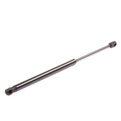Gasfeder, Koffer-/Laderaum RIDEX 219G0023 219G0023 - foto 8