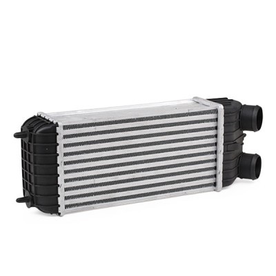 Ladeluftkühler RIDEX 468I0139 468I0139 - foto 3
