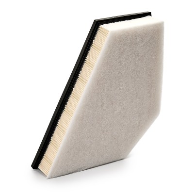 Luftfilter RIDEX 8A0550 8A0550 - foto 10