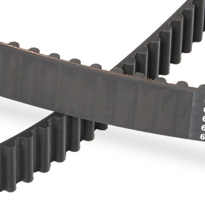 Zahnriemen RIDEX 306T0064P 306T0064P - foto 5