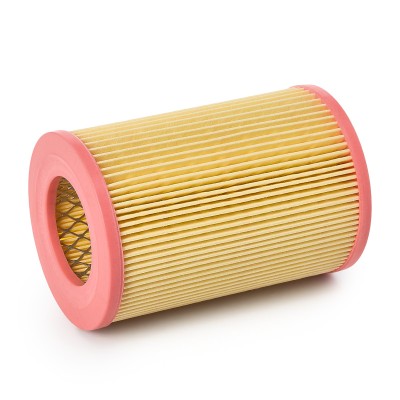 Luftfilter RIDEX 8A0137P 8A0137P - foto 3