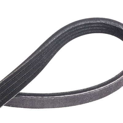 Keilrippenriemen RIDEX 305P0220P 305P0220P - foto 5