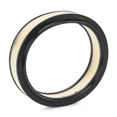Luftfilter RIDEX 8A0127 8A0127 - foto 5